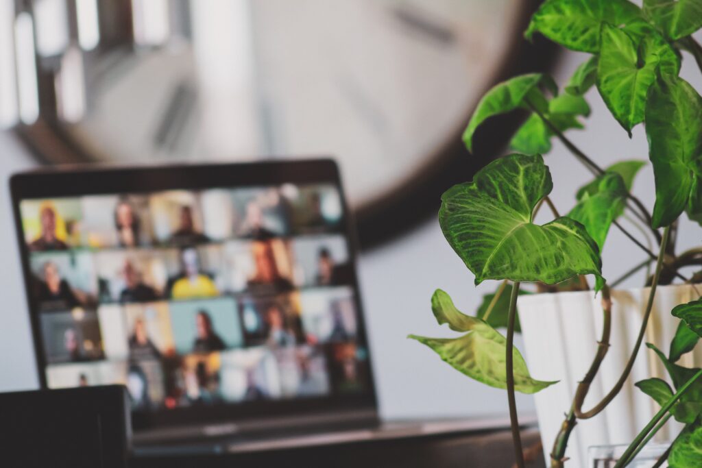 An image of an online meeting on a laptop with the image blurred and a green plant in the foreground.